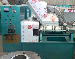 花生榨油機廠家 榨油設(shè)備 在線咨詢 黎平榨油機廠家