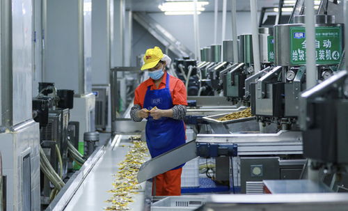 梁平 打造中國(guó)西部預(yù)制菜之都